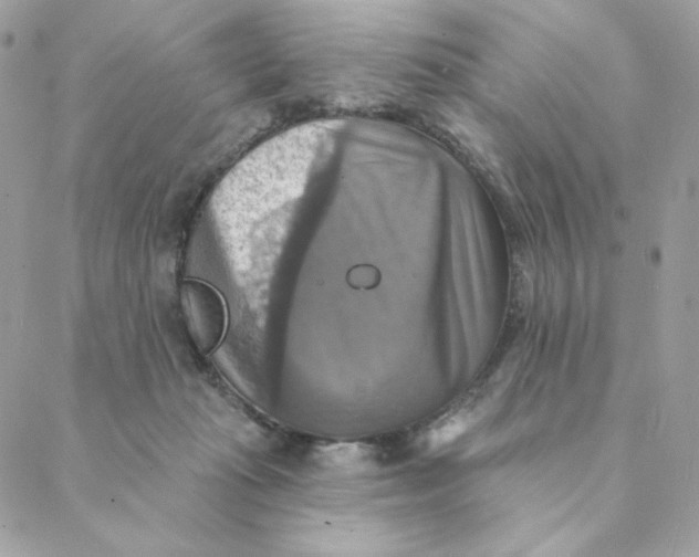 X0000088200269200706051239