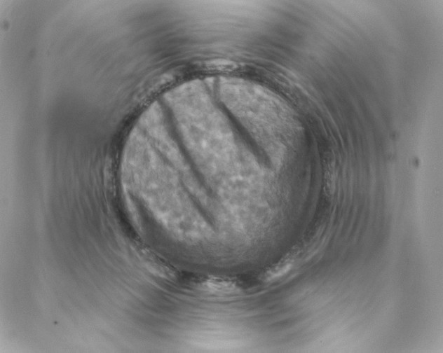 X0000088200270200706051239