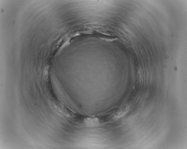 X0000088200271200706051239