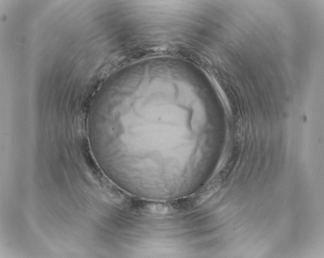 X0000088200272200706051239