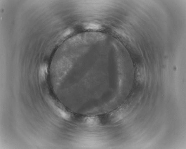 X0000088200275200706051239