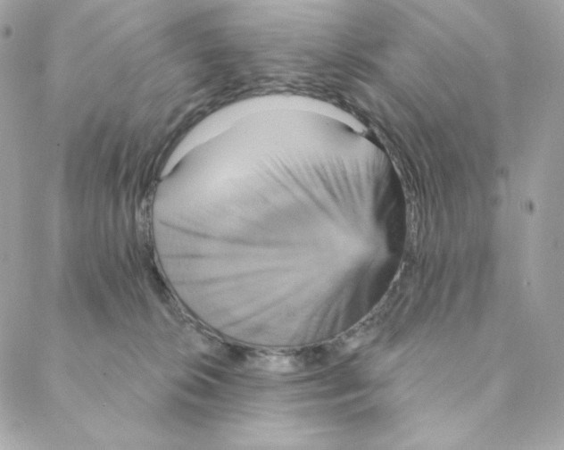 X0000088200276200706051239