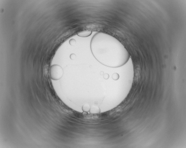 X0000088200278200706051239