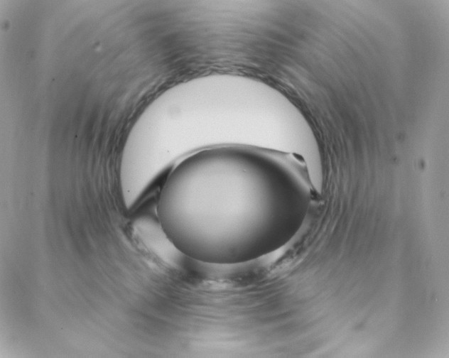 X0000088200280200706051239