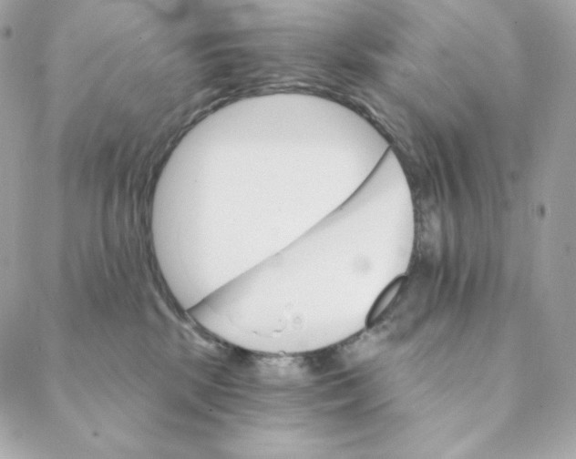 X0000088200281200706051239