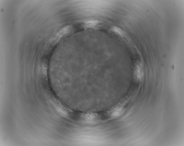 X0000088200282200706051239