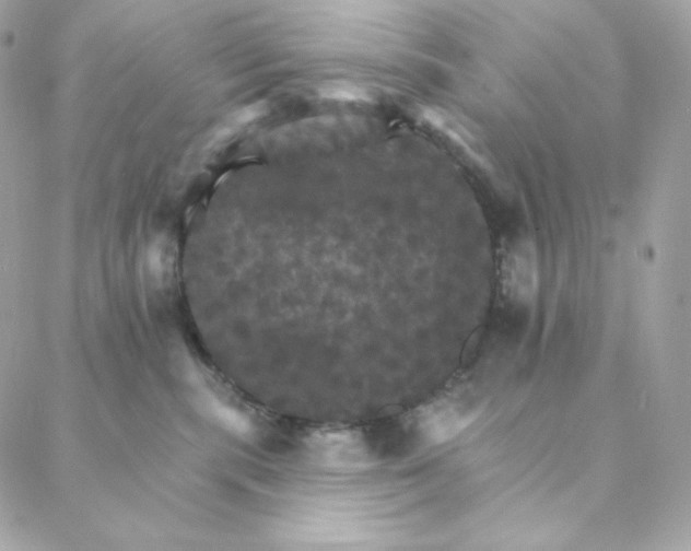 X0000088200283200706051239