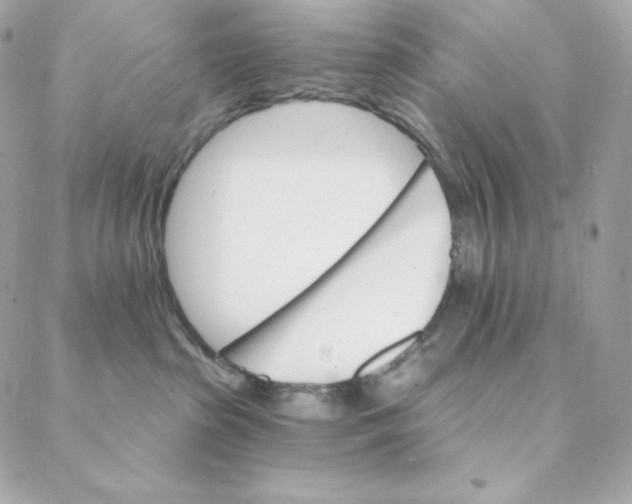 X0000088200285200706051239