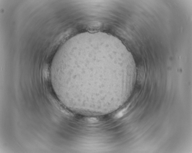 X0000088200287200706051239