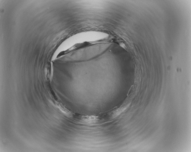 X0000088200288200706051239