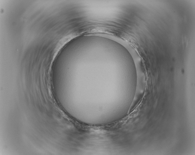 X0000088200289200706051239