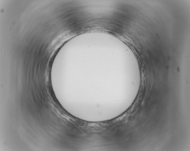 X0000088200290200706051239