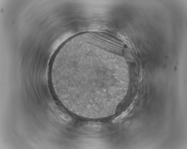 X0000088200292200706051239