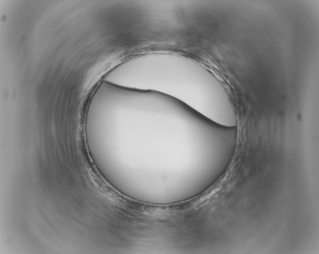 X0000088200293200706051239