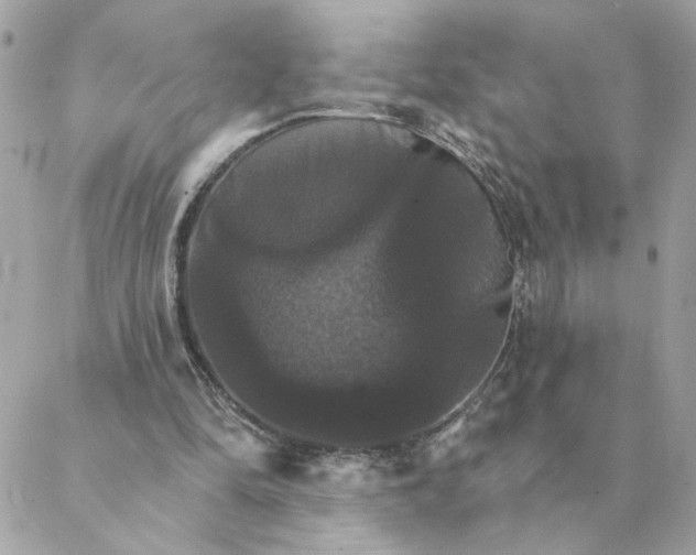 X0000088200294200706051239