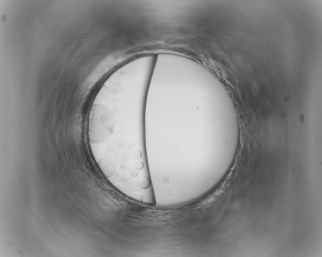 X0000088200295200706051239