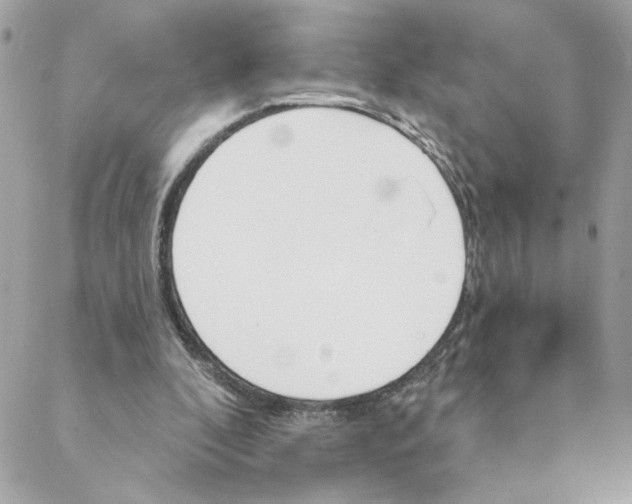 X0000088200296200706051239