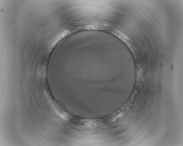 X0000088200297200706051239