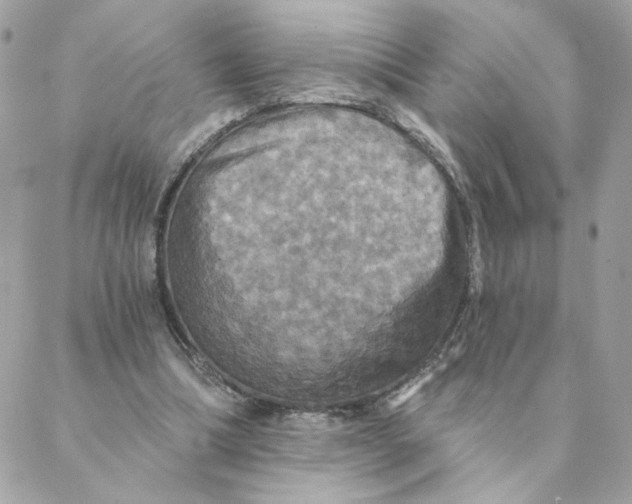 X0000088200298200706051239