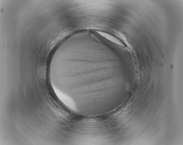 X0000088200299200706051239