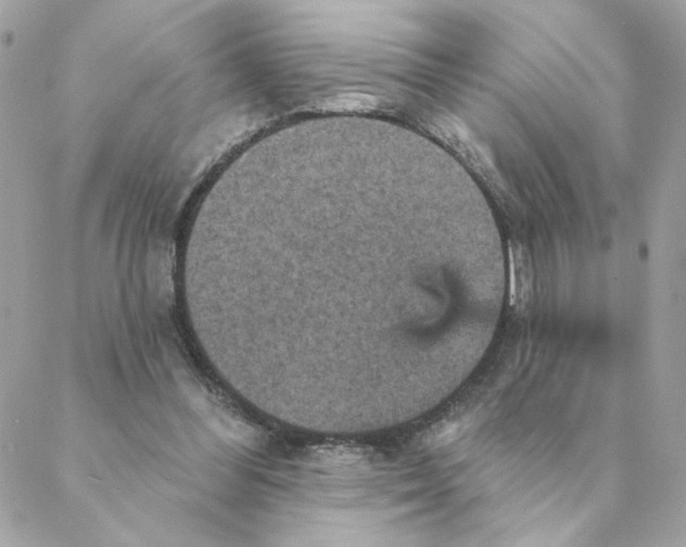 X0000088200300200706051238