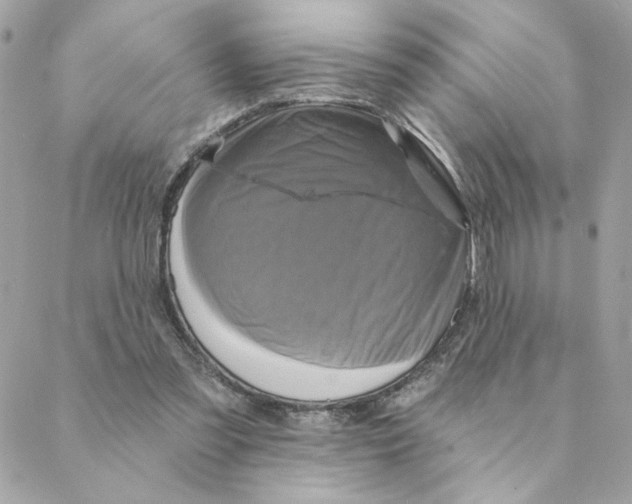 X0000088200301200706051238