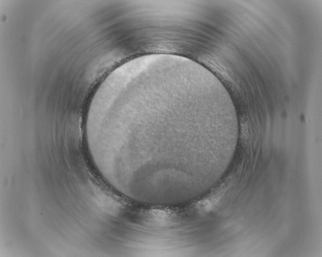 X0000088200302200706051238