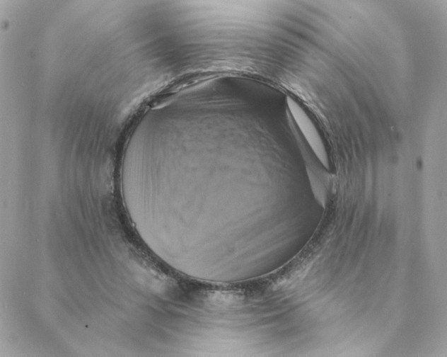 X0000088200303200706051238