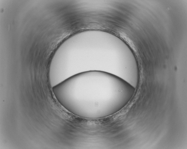 X0000088200305200706051238