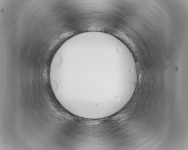 X0000088200306200706051238