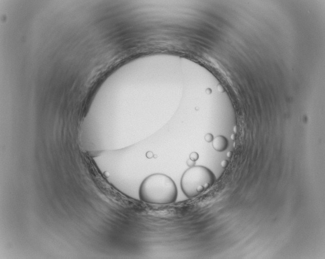 X0000088200307200706051238