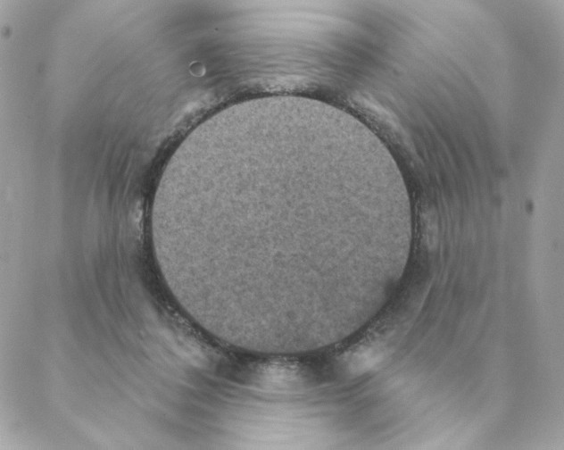 X0000088200308200706051238