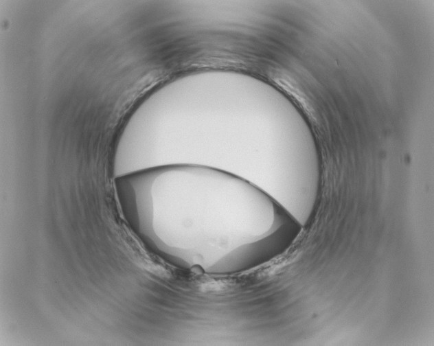 X0000088200309200706051238