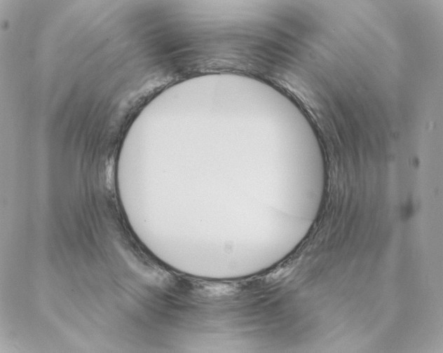 X0000088200310200706051238