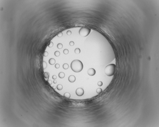 X0000088200311200706051238