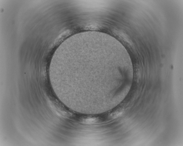 X0000088200312200706051238