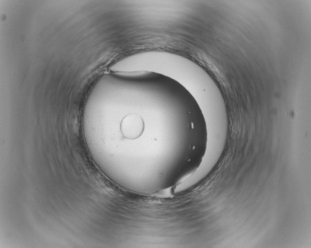 X0000088200313200706051238