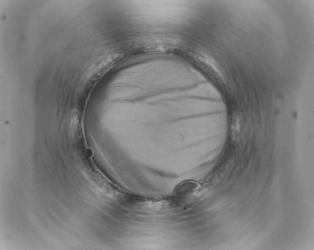 X0000088200314200706051238