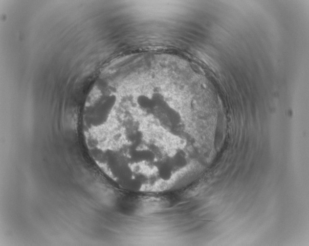 X0000088200315200706051238