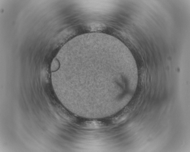 X0000088200316200706051238