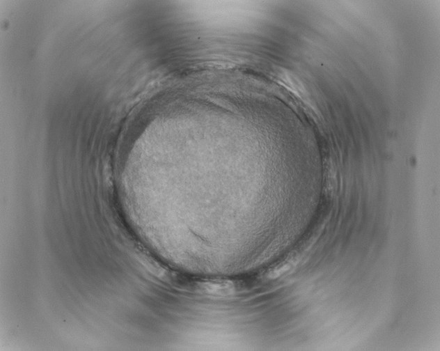 X0000088200317200706051238