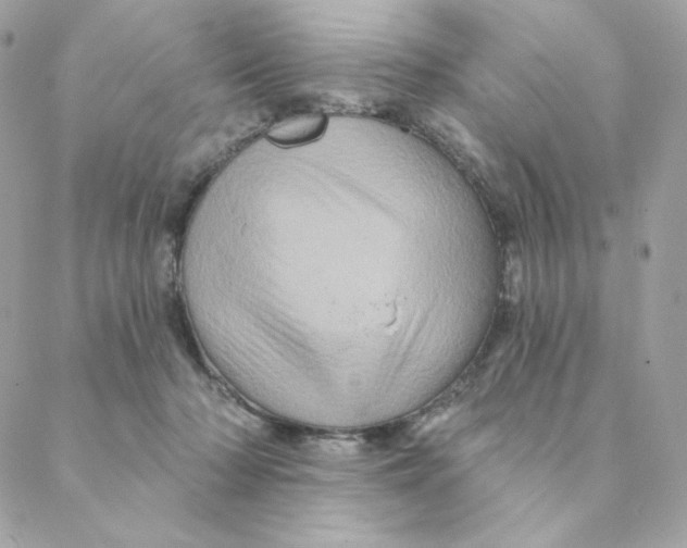 X0000088200318200706051238