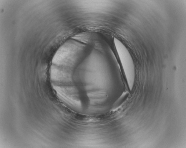 X0000088200319200706051238