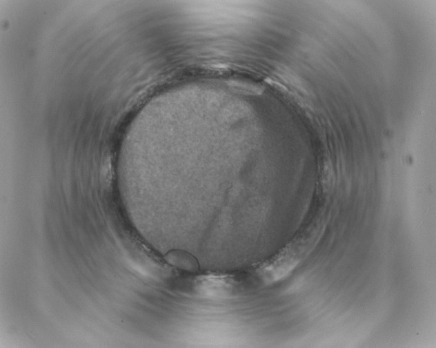 X0000088200320200706051238