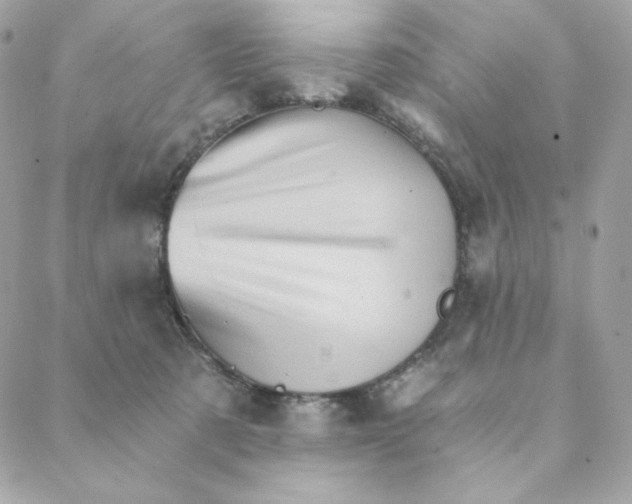 X0000088200321200706051238