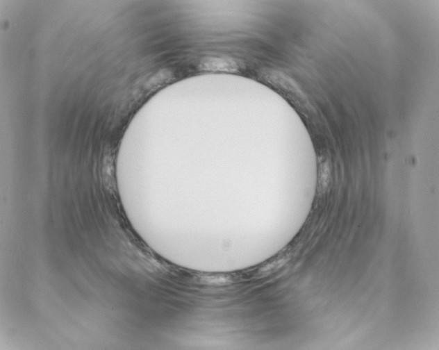 X0000088200322200706051238