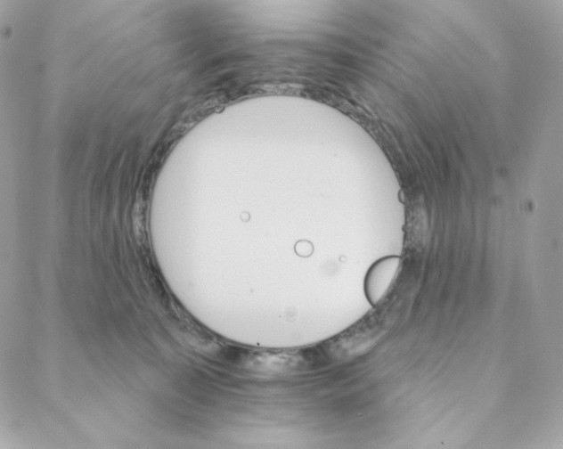 X0000088200323200706051238