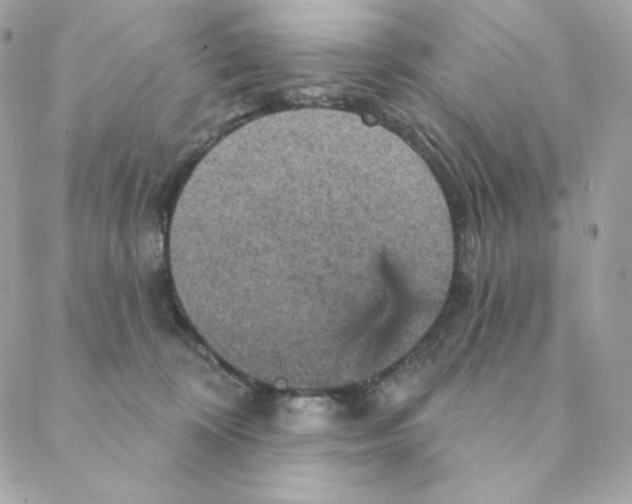 X0000088200324200706051238