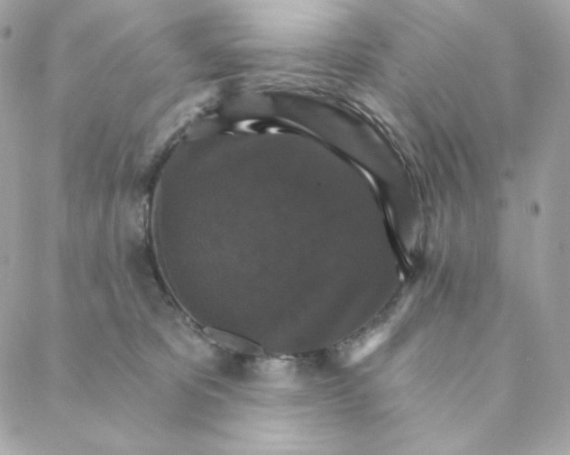 X0000088200325200706051238