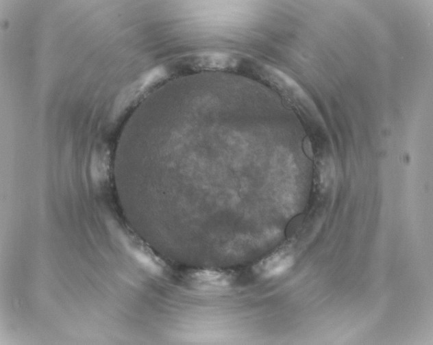 X0000088200326200706051238